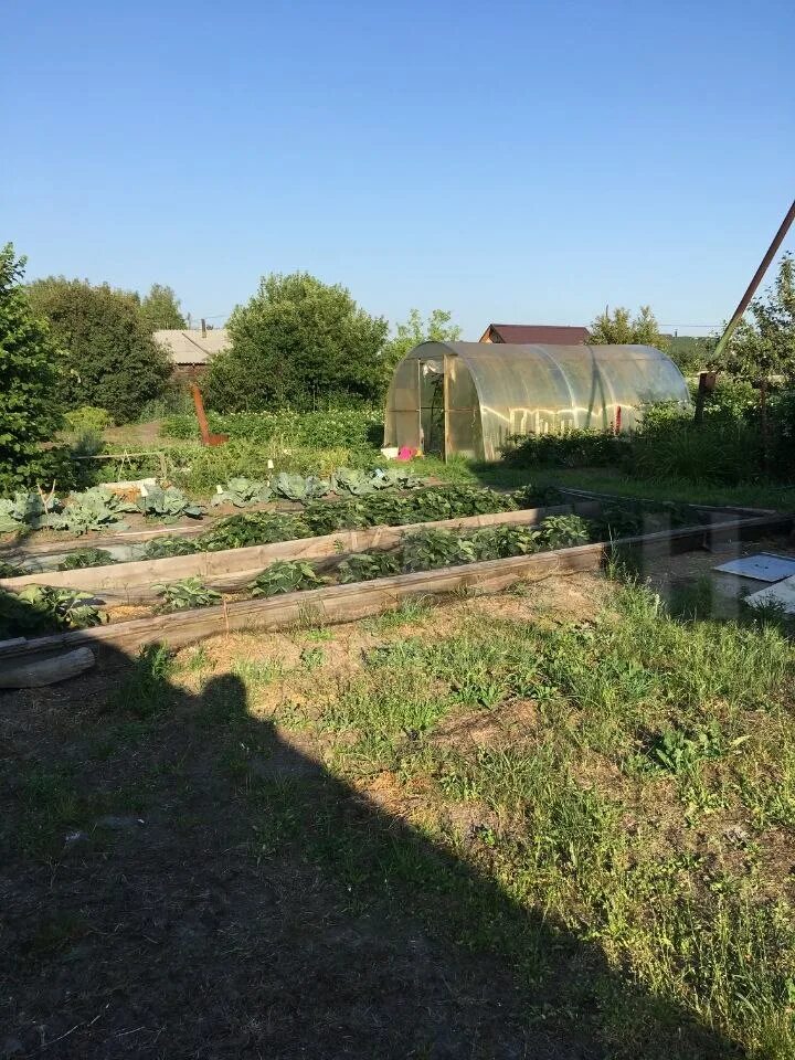 Снт янтарь. Снт янтарь калининград. Шугарово новоселки. Челябинск снт янтарь улица 3 участок 19. Снт янтарь екатеринбург.
