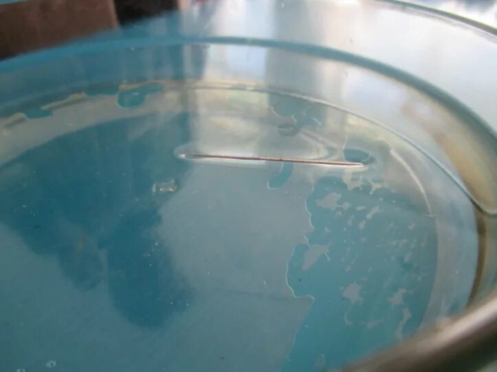 Опыты с иглой. Эксперимент с поверхностным натяжением воды. Игла на поверхности воды. Опыт с иголкой и водой. Натяжение поверхности воды.