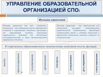 Практики управления образовательной организацией