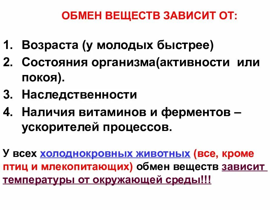 Повышение интенсивности обмена веществ. От чего зависит обмен веществ. обмен веществ у животных. от чего зависит метаболизм у человека. особенности метаболизма животных.