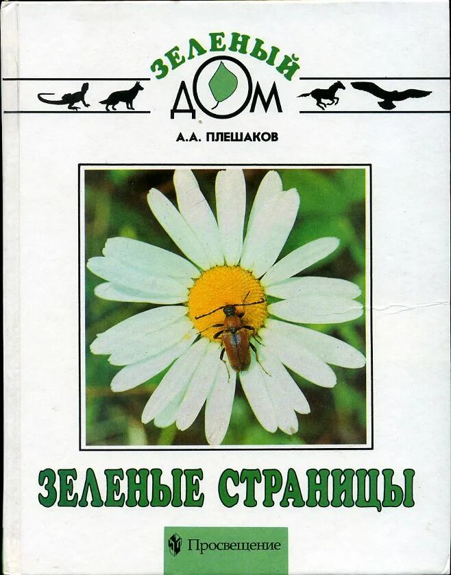 плешаков "зелёные страницы". а плешаков зеленые страницы книга для учащихся начальных классов. книга плешаков зелёные страницы. плешаков окружающий мир зеленые страницы. книга плешаков зелёные страницы.