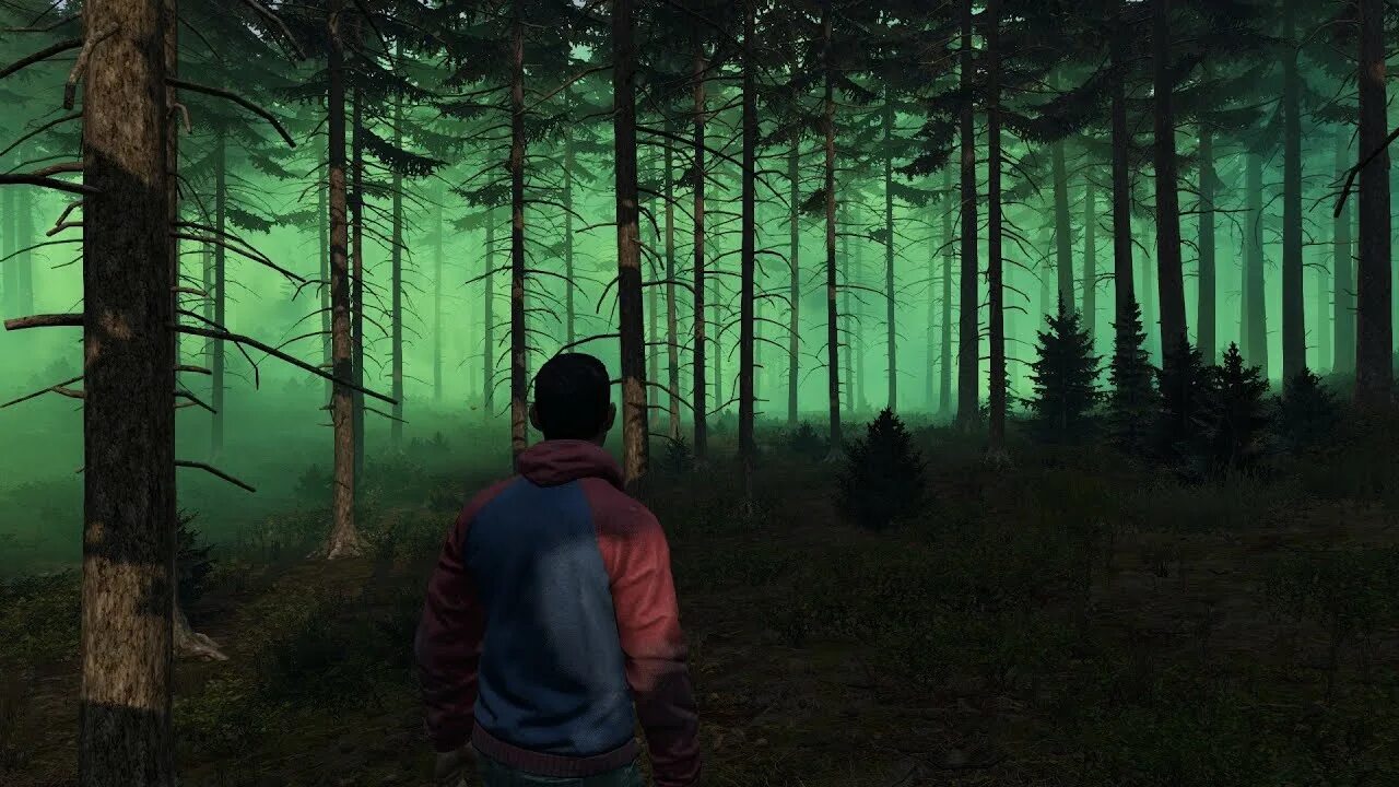 Лесные видео канал новые. Дейз хим зона. Хим зона в DAYZ. DAYZ Токсик зона. DAYZ зараженные зоны.