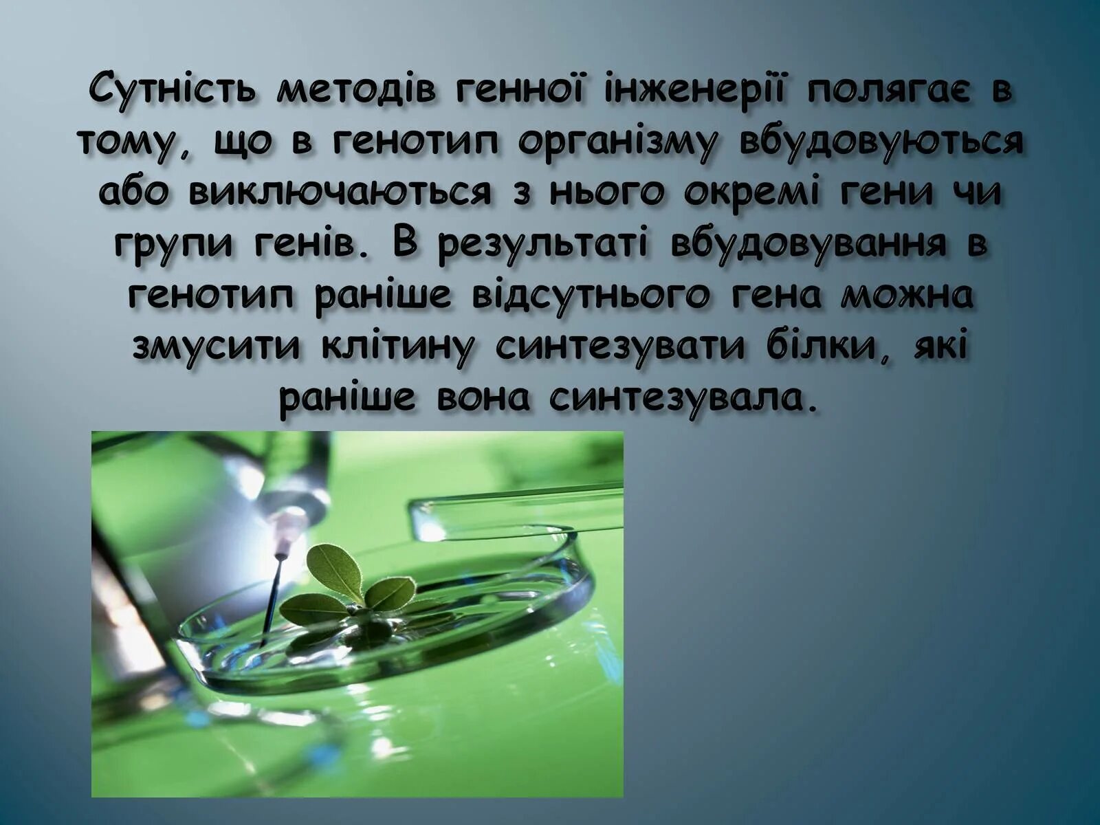 Роль биотехнологии. Генная инженерия в биотехнологии. Генная инженерия сущность метода. Метод генной инженерии в биологии. Клеточная инженерия в биотехнологии.