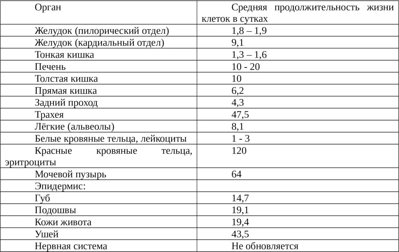 Можно ли утверждать что продолжительность жизни. Продолжительность жизни клеток. Длительность жизни клетки. Продолжительность жизни клеток организма. Сроки обновления клеток организма.