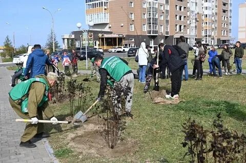 Новости арсеньева