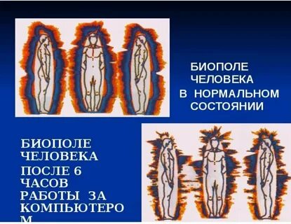 Био поле