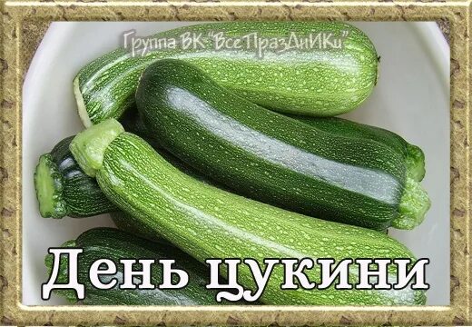 Zucchini squash. Цукини растение. Кабачок полосатый. С днем кабачка. День цуккини.