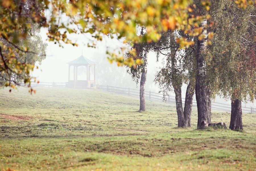 прогноз погоды плес ивановская