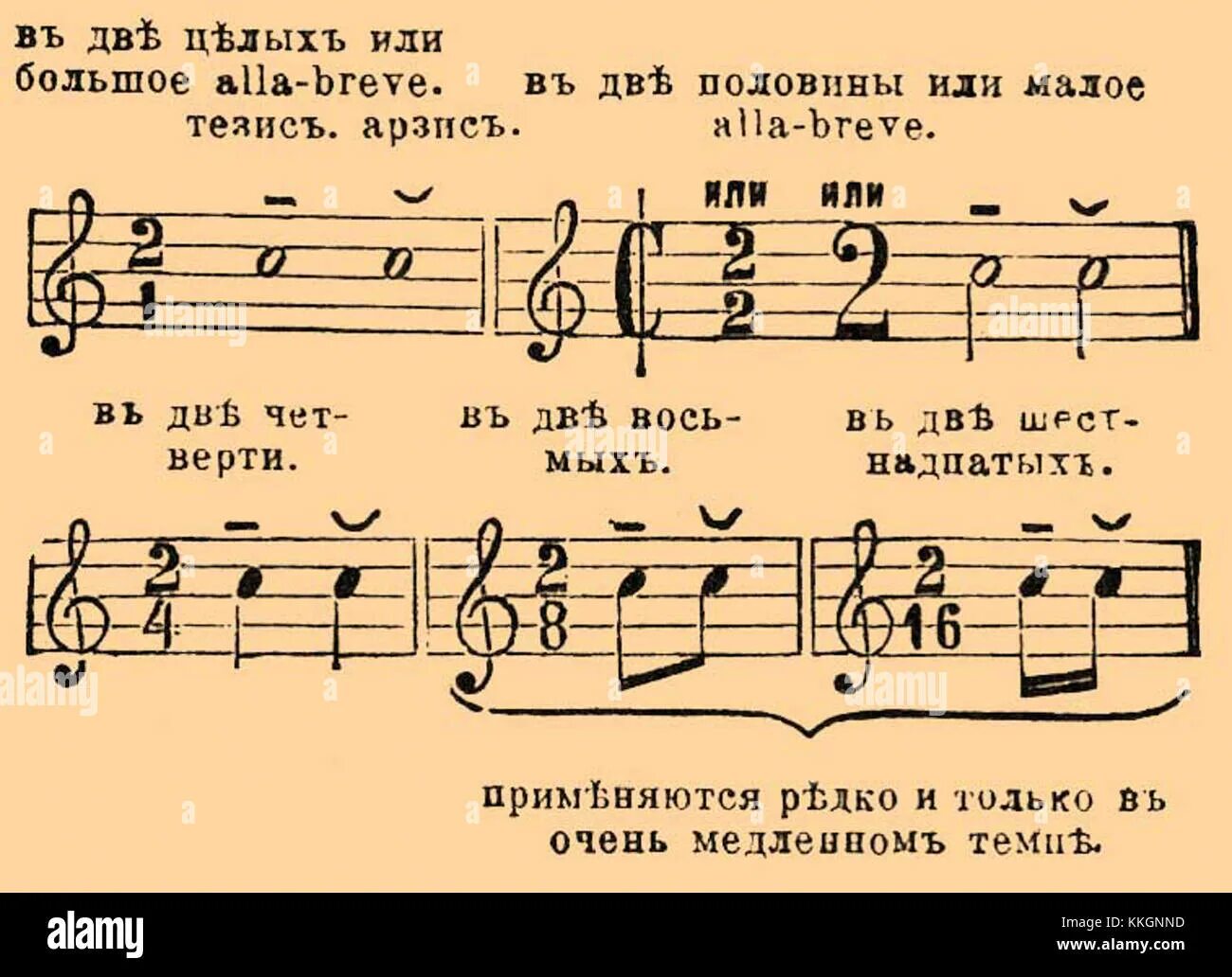 Делай все в такт песня. Музыкальный такт. такт в музыке. размер такта. такт в музыке определение.