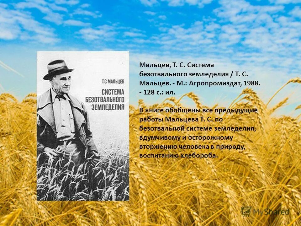 текст на тему в гостях у хлеборобов. сообщение о профессии хлебороба. текст на тему хлебороб. профессия хлебороб для детей. рассказ в гостях у хлебороба 4 класс.