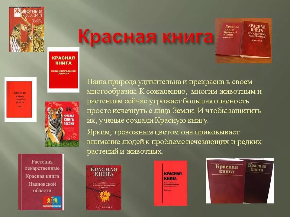 Красная книга принята. Красная книга. Международная красная книга. Красная книга России. Красная книга презентация.