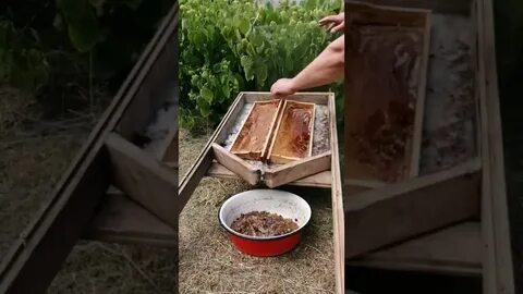 Маленькое испытание
