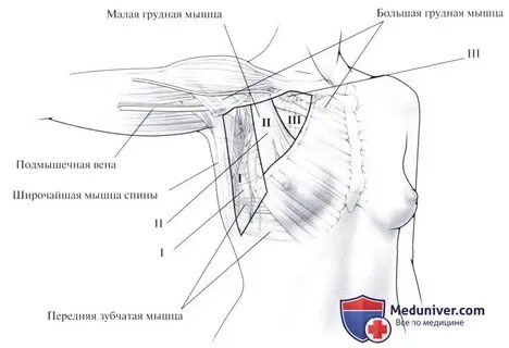 Болит подмышечная область
