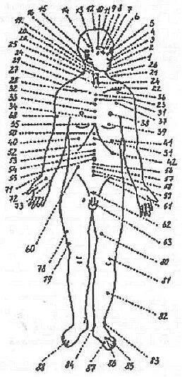 Жизненные точки на теле человека. Жизненно важные точки человеческого тела. Анатомические точки на теле человека. Анатомия человека жизненно важные точки.