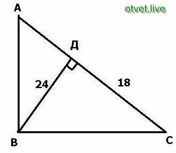 Высота bd прямоугольного треугольника ABC равна 24 см. Высота bd прямоугольного треугольника ABC равна. В прямоугольном треугольнике ABC высота bd равна 24. Высота ВД прямоугольного треугольника.