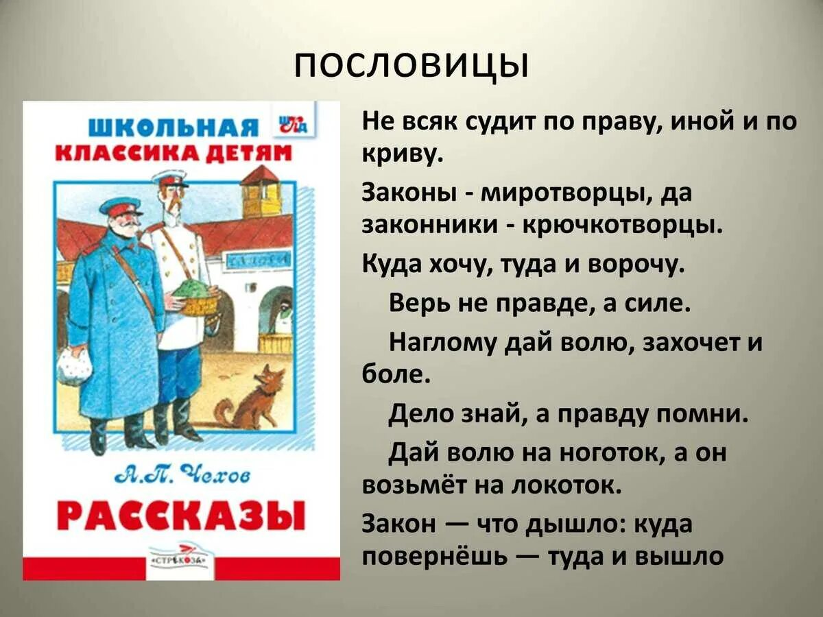 Пословицы. Пословицы и поговорки о законе. Поговорки про закон. Поговорки про закон и право. Пословица будет твоя