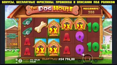Dog house на деньги