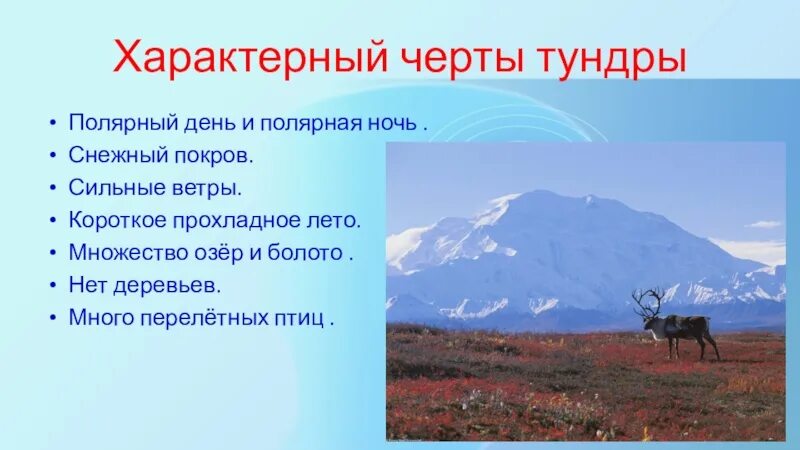 Выберите признаки тундры