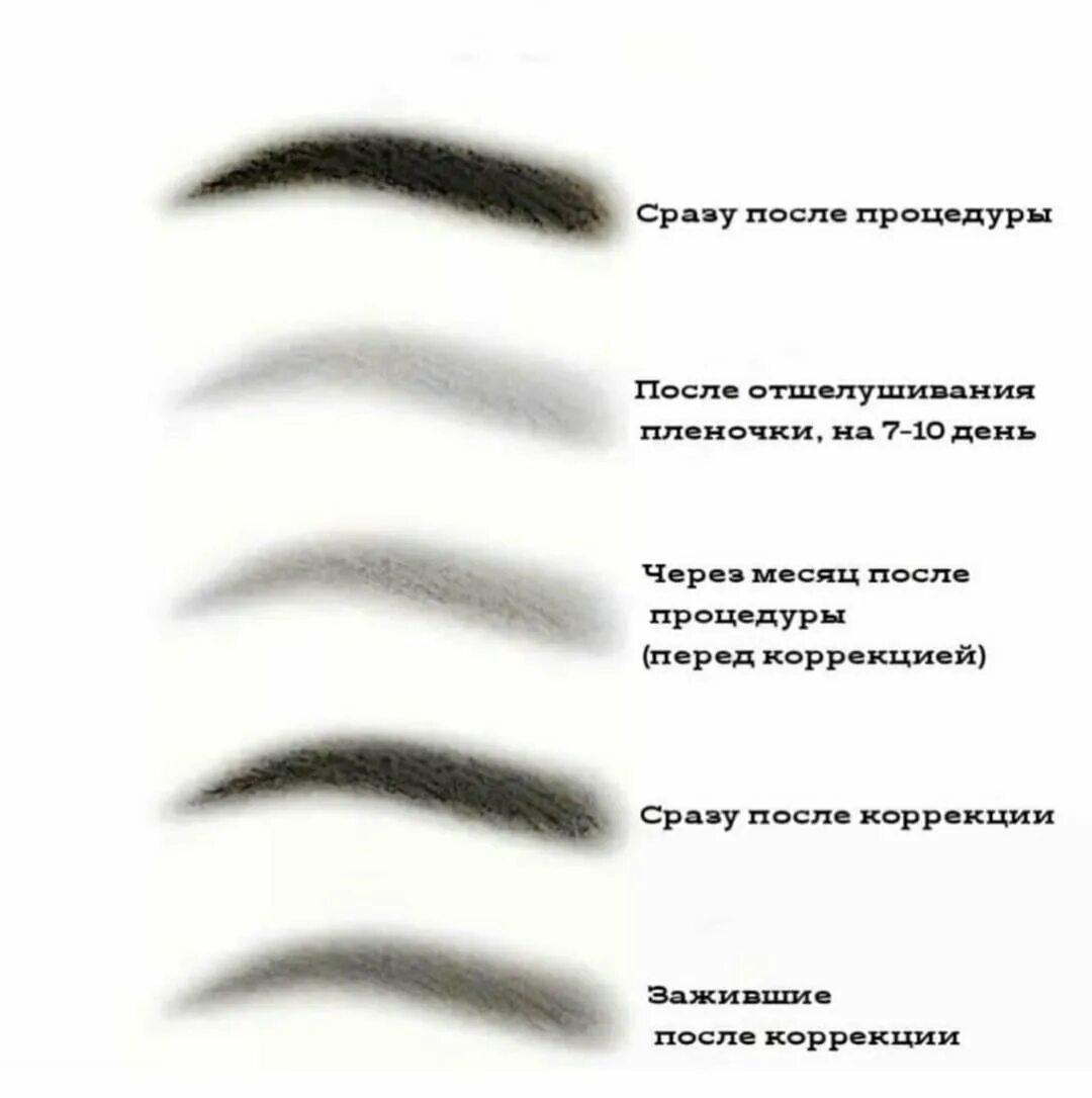 Через сколько проявляется перманентный макияж. Процесс заживления перманентного макияжа бровей. этапы заживления перманентного макияжа бровей. стадии заживления перманентного макияжа бровей. стадии заживления перманента бровей.