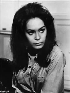 Stacy perkins