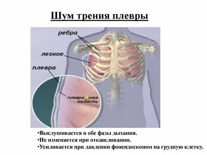 Слышно было только мерное дыхание спящих
