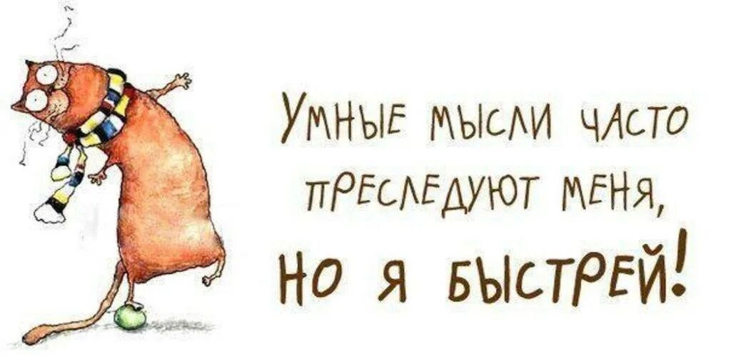 Умные мысли но он был быстрее. Прикольные мысли и высказывания. умные и смешные высказывания. смешные картинки с умными фразами. умные и веселые высказывания в картинках.