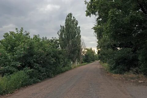Калинова фото
