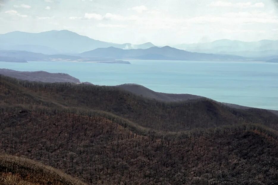 хребет богатая грива. тропа арсеньева приморский край. саяны позарым. шаморовский перевал владивосток. хребты богатая.