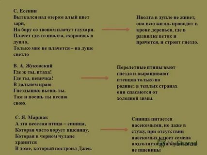 Алый будь рядом