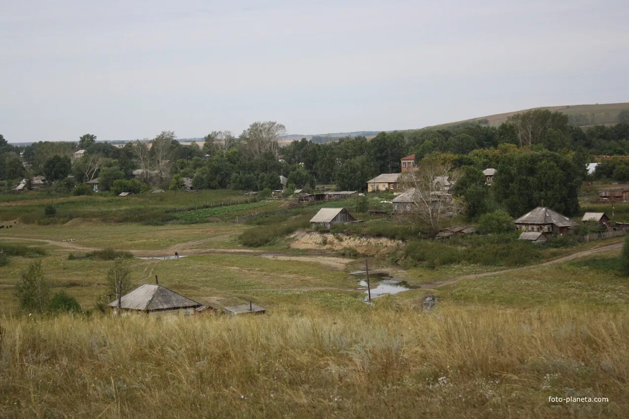 Погода целинный район село целинное. Село Шалап. С Шалап Целинного района Алтайского края. Алтайский край, Целинный р-н, с. Шалап. Шалаб Целинный РАЙОНАЛТАЙСКИЙ край.