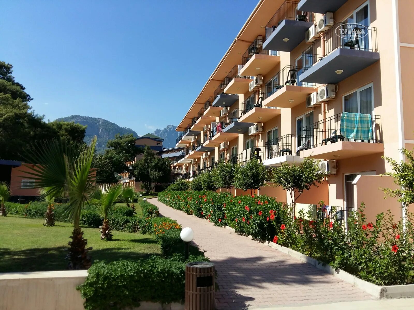 Armas hotel 4. Армас гарден. armas garden hotel 5. армас гарден кемер отель 4. армас гарден кемер отель 5 звезд.