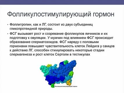 Гормон стимулирующий созревание фолликул