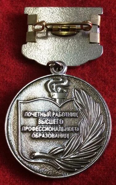 Почетный работник высшего. Нагрудный знак почетный работник образования рф. Почетный работник высшего образования. Медаль почётный работник общего образования российской федерации. Нагрудный знак почетный работник россельхознадзора.