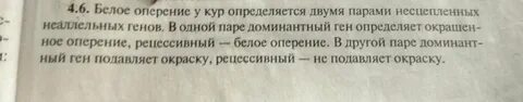 Определенная на бел