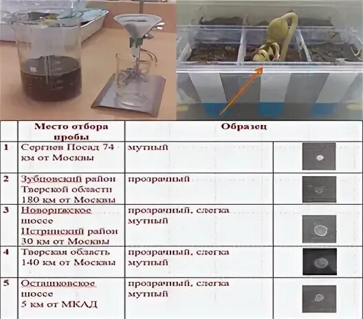 Практическая работа анализ почвы химия. Степень засоленности грунта. Практическая работа исследуем состав почвы 3 класс окружающий мир. Классификация структурных элементов почвы практическая работа. Анализы почвы заключение.