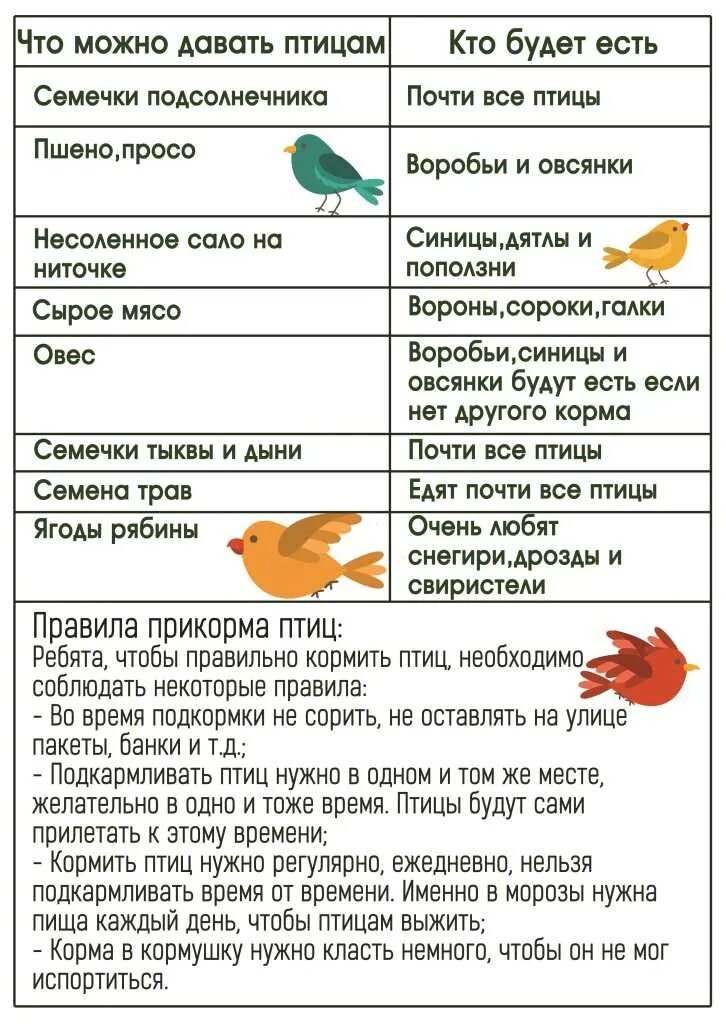 Какие крупы можно птицам зимой