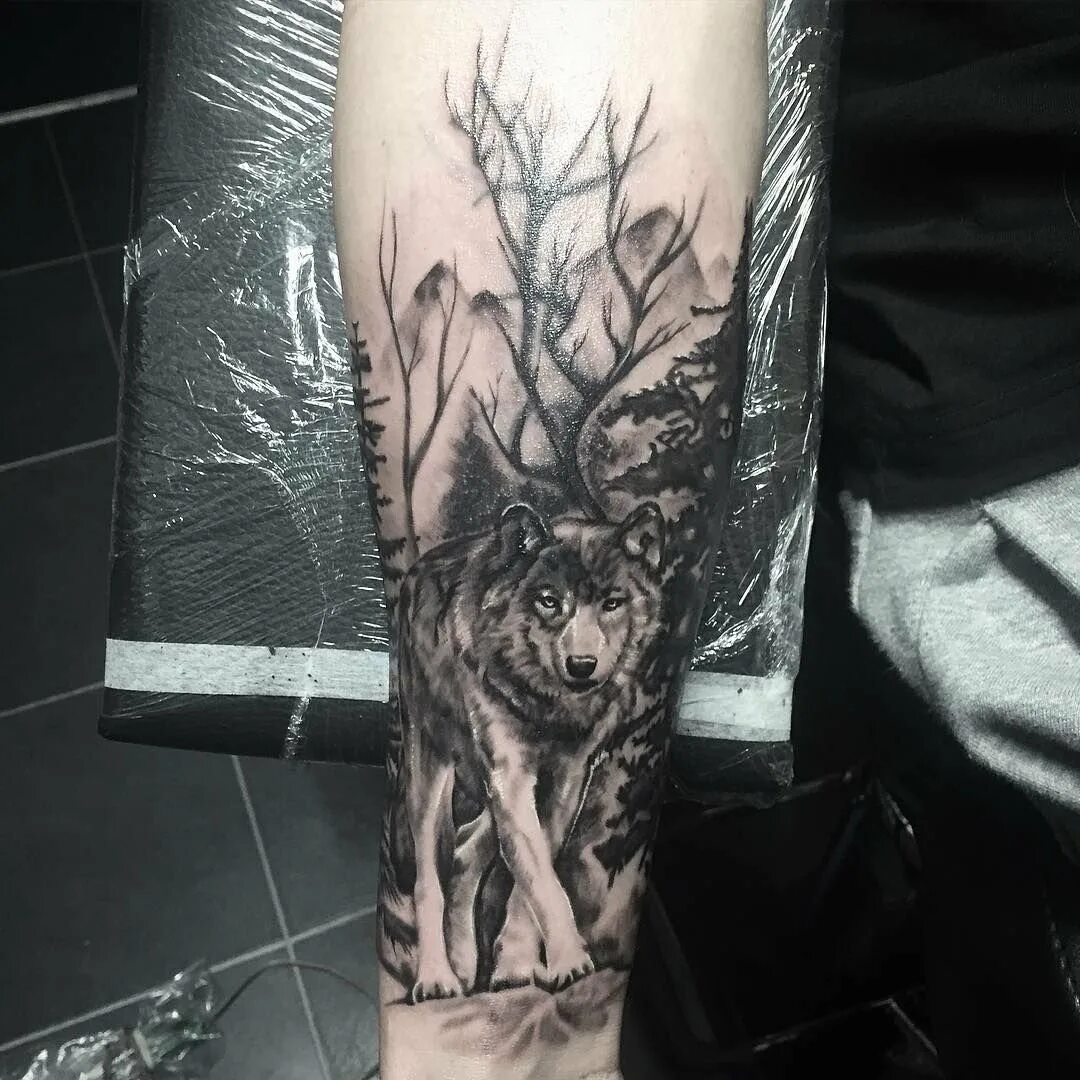 Тата волк в лесу. Тату волк в лесу на руке. Тату для мужчин на руке волк и лес. Тату волк в лесу на предплечье. Тату волк на фоне леса.
