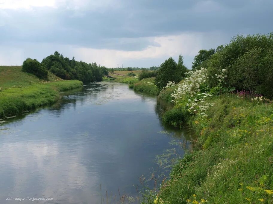 река ижора. река большая ижорка. притоки ижоры. река ижора. притоки ижоры.