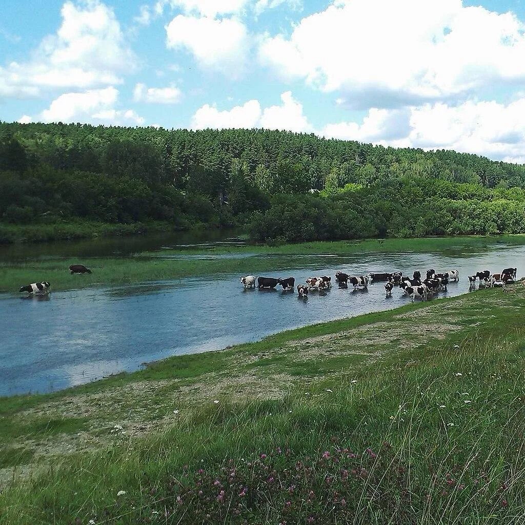 Погода в курундусе. Шелковичиха Новосибирск. Станция Шелковичиха. Станция Шелковичиха Новосибирской области. Тогучин шелковичихиновосибирск.