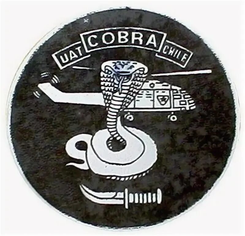 The cobra is a common poison. The cobra is a common poison