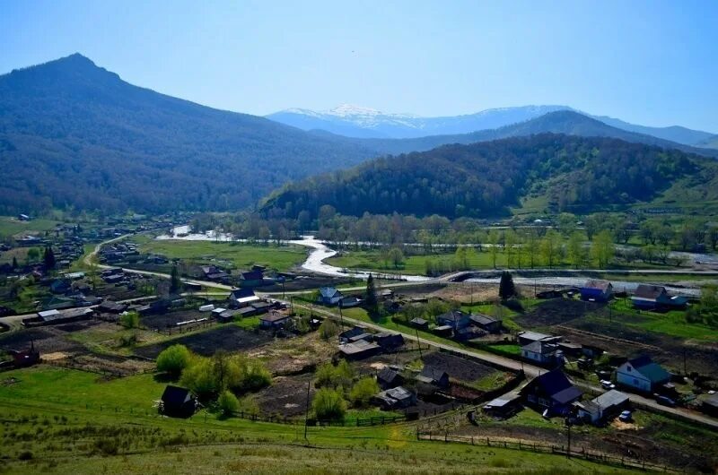 Гисметео село алтайское алтайского района алтайского края. Село Топольное Солонешенский район. Село Топольное Алтайский край. Топольное Солонешенский район Алтайский край. Туманово Солонешенский район.