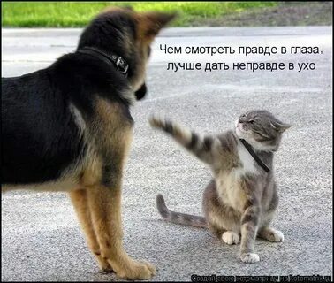 Музыка ты смотрел налево