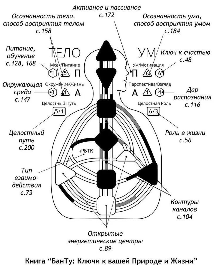 Мотивация дизайн человека