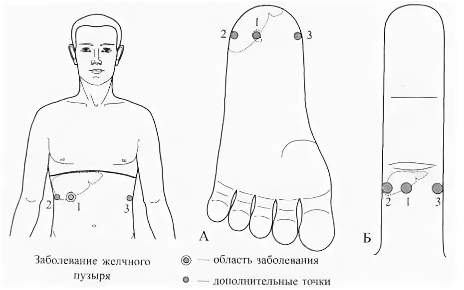 Су Джок точка желчного пузыря. Су Джок точки желчного. Су Джок желчный пузырь. Су Джок проекция желчного пузыря.