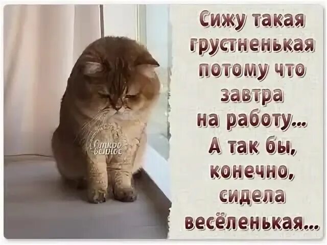 Конечно сидеть