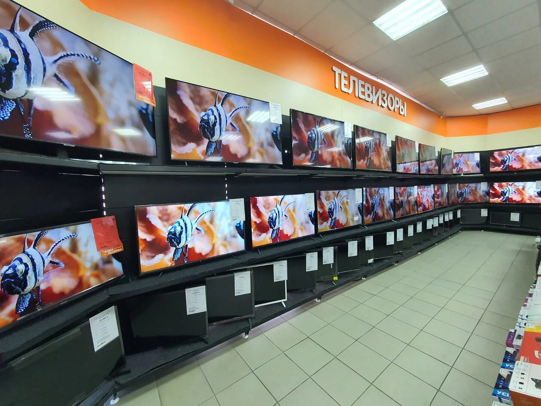 чери шарыпово