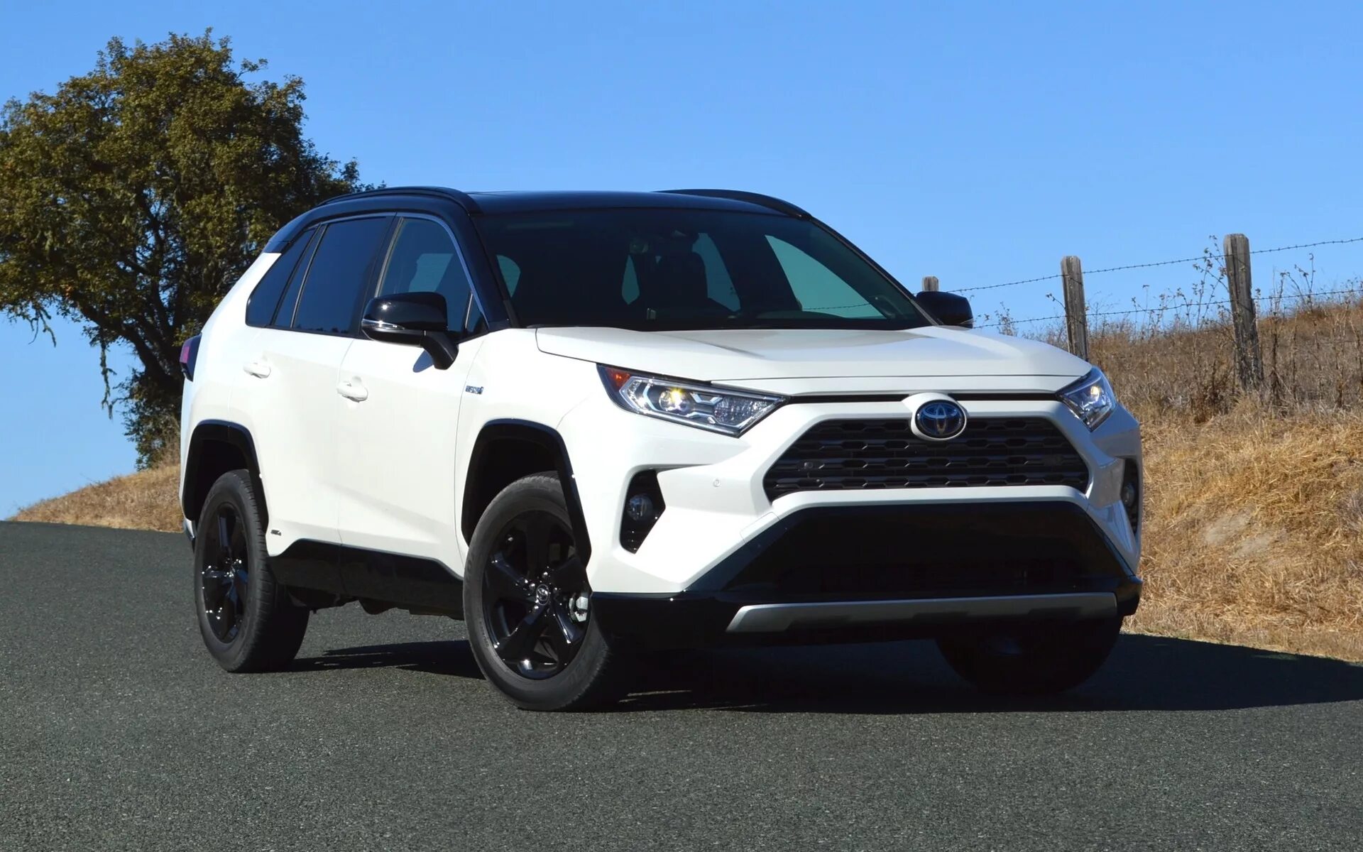 Toyota rav4 2020. Toyota rav4 Hybrid. Toyota rav4 2019 Hybrid. Toyota rav4 Hybrid 2020. Рав ту го