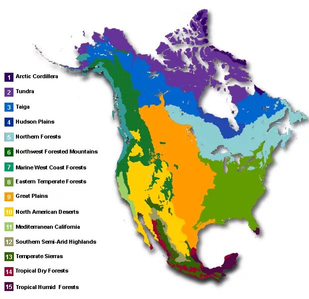 Тектонические структуры северной америки. Карта почв Северной Америки. Зоны Северной Америки. Природные зоны Северной Америки. Прерии Северной Америки на карте.