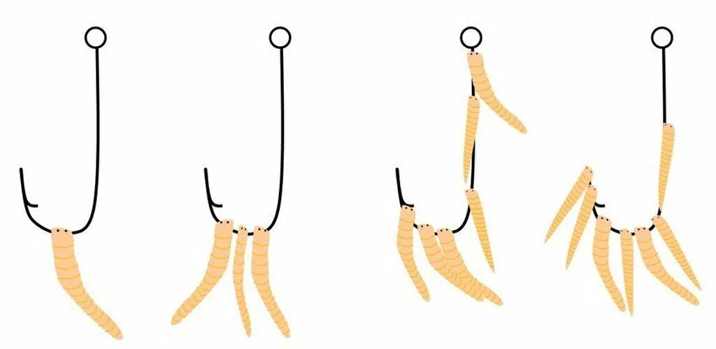 Как насадить опарыша на крючок. Как насаживать опарыша. Правильная насадка опарыша на крючок. Насадка опарыша на крючок для карася. Способы насаживания опарыша на крючок.
