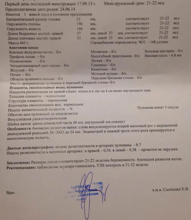 Нормы 2 скрининга при беременности. Узи 19 недель протокол узи. узи 2 скрининг заключение. 23 недели беременности узи протокол. узи в 19 недель беременности нормы показателей.